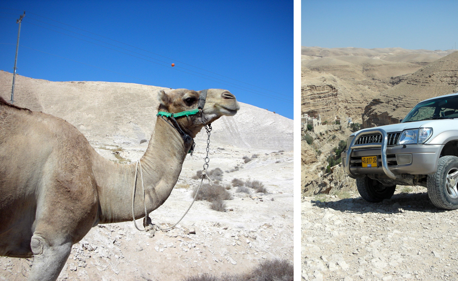 jeep & trekking tours in israel